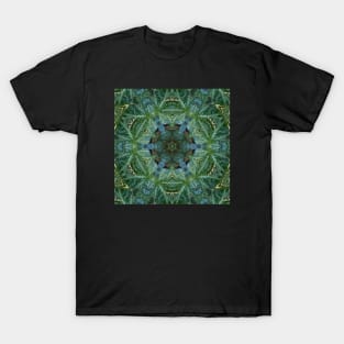 744L Unique Blue Green Colorful Abstract Nature Mandala Photo T-Shirt